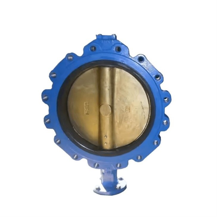 butteryfly valve5